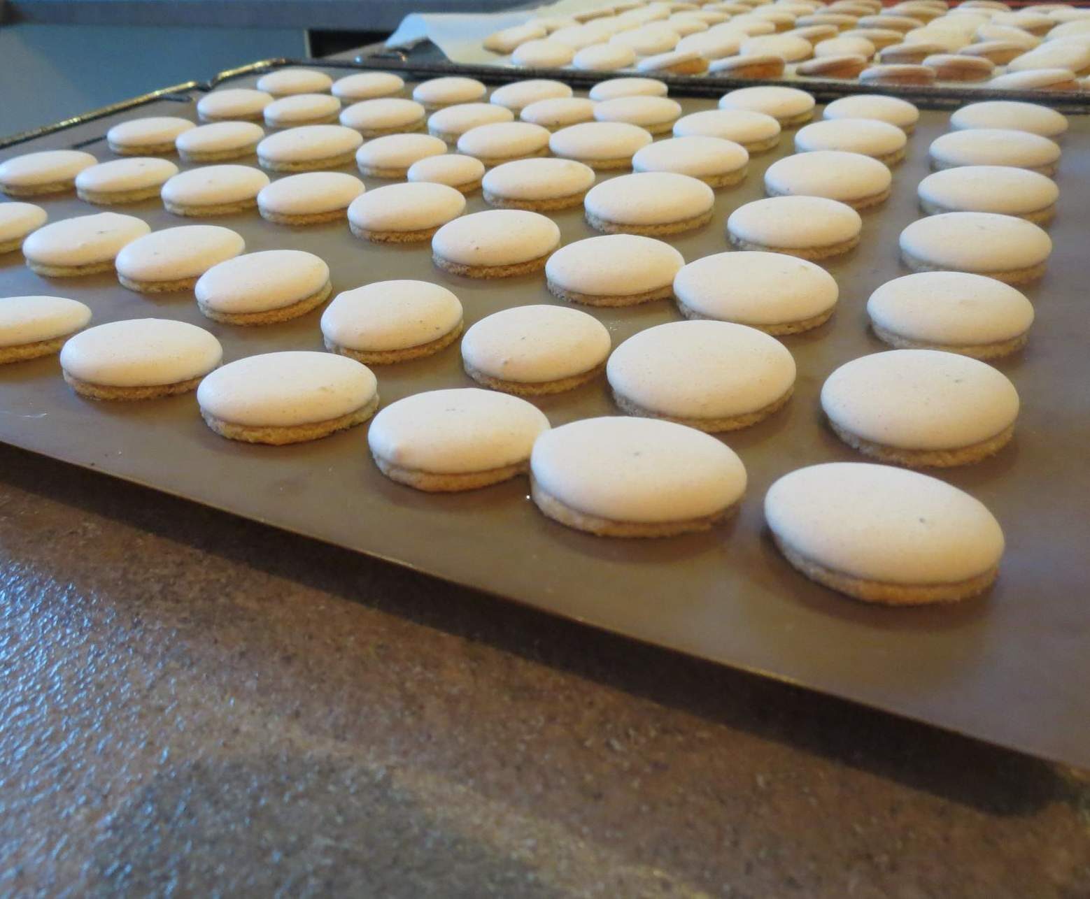 Anisbredele - Gateaux de Noel à l'anis