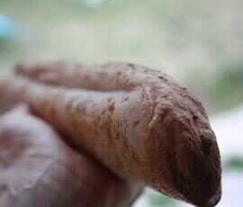 Baguettes sans gluten (aux diverses farines)