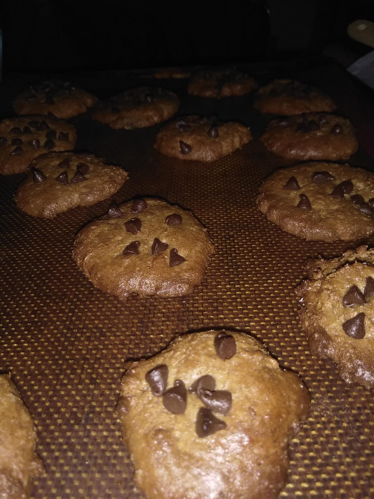 Biscuits sans GLO à la purée d'amandes