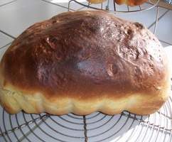 brioche au fromage blanc