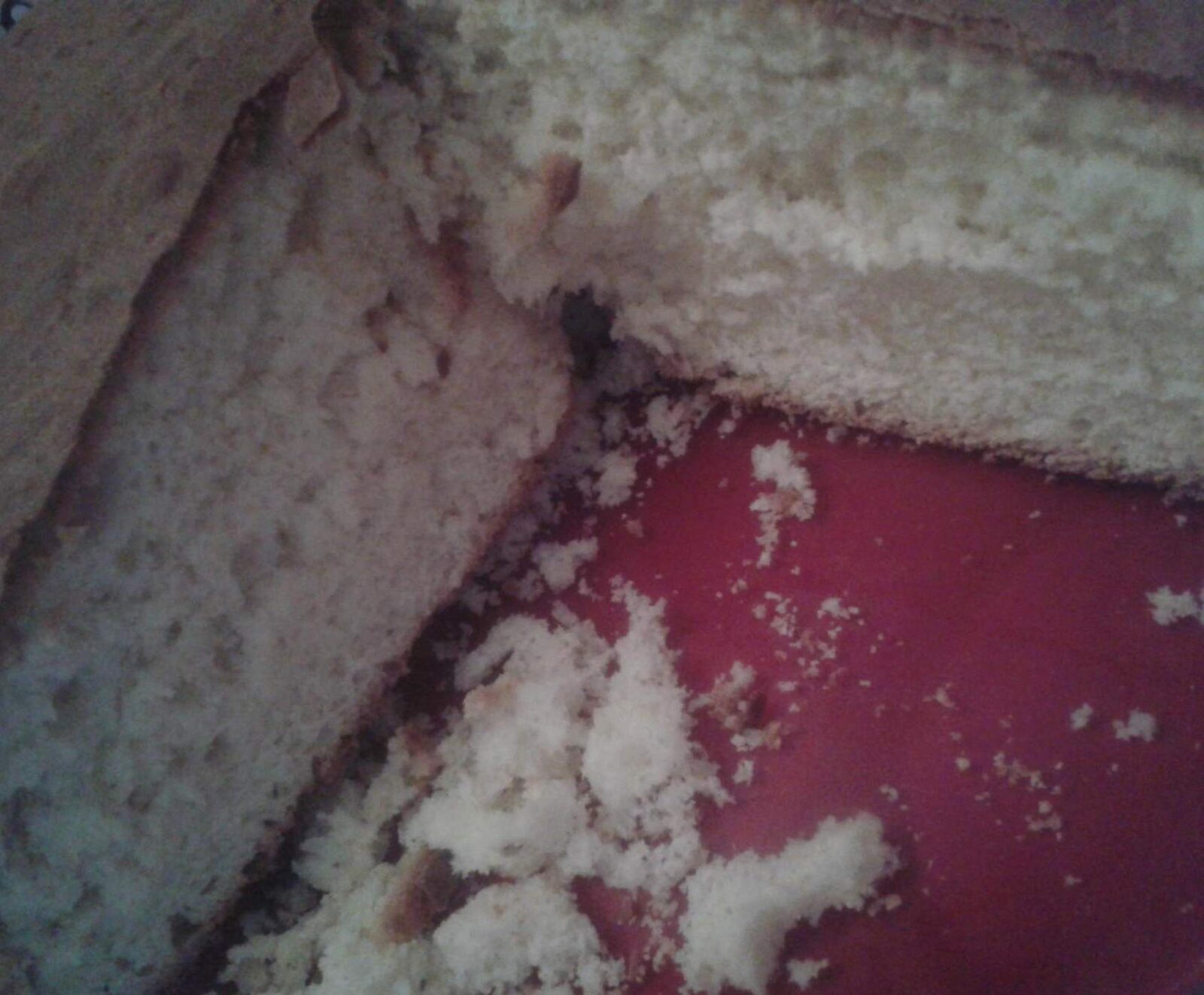 BRIOCHE RAPIDE MOELLEUSE