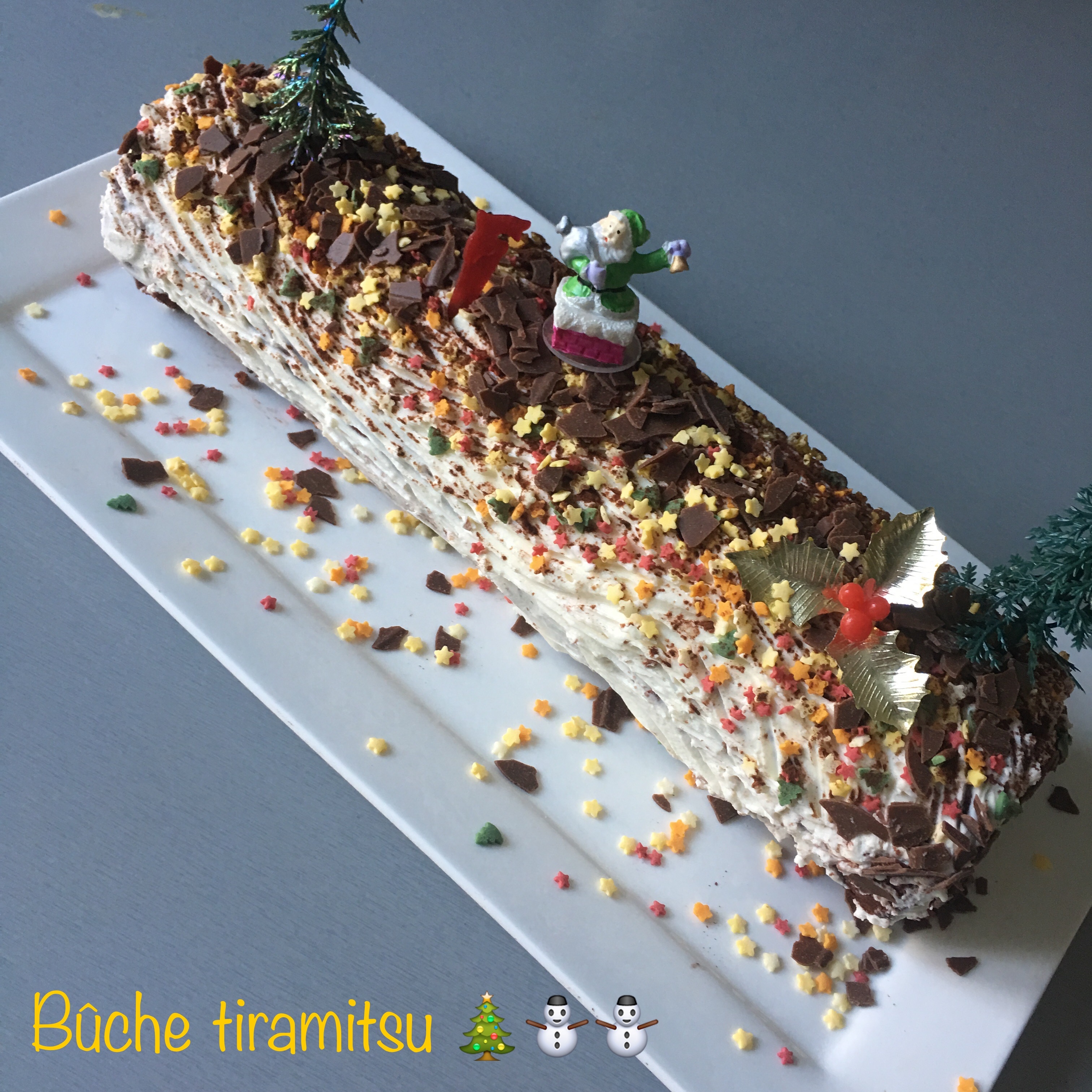 Bûche tiramisu facile et rapide