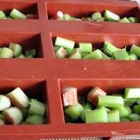 Cake Léger à la rhubarbe à indice glycémique bas