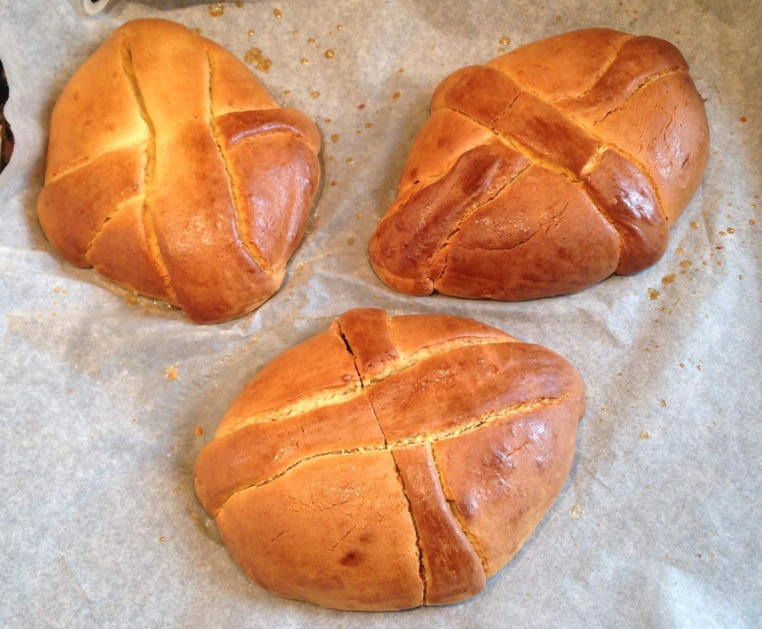 Canistron gâteau corse .