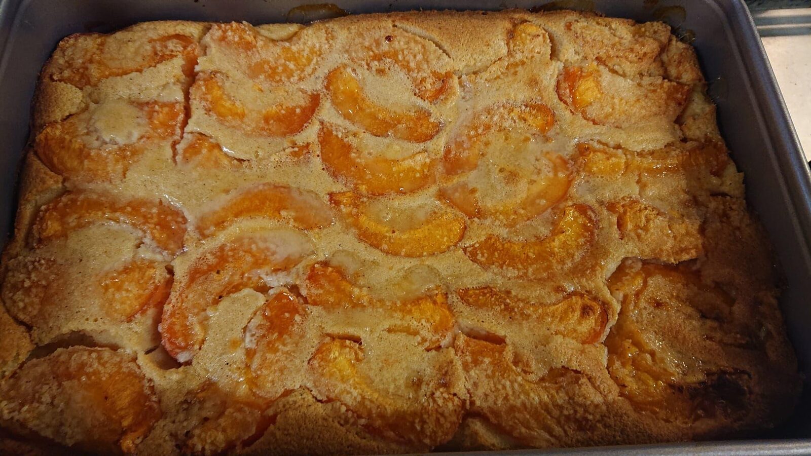 clafoutis aux abricots