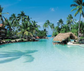 cocktail des caraibe