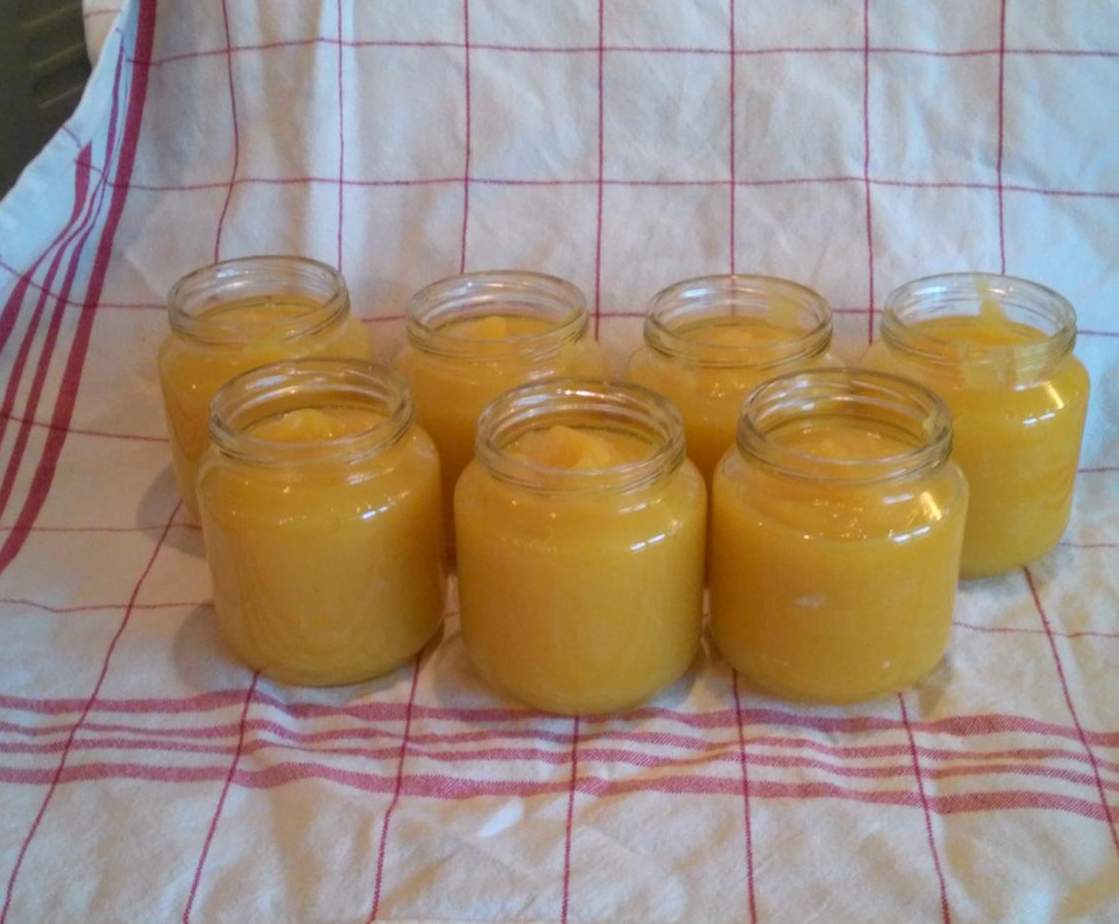 compote pommes et mangues