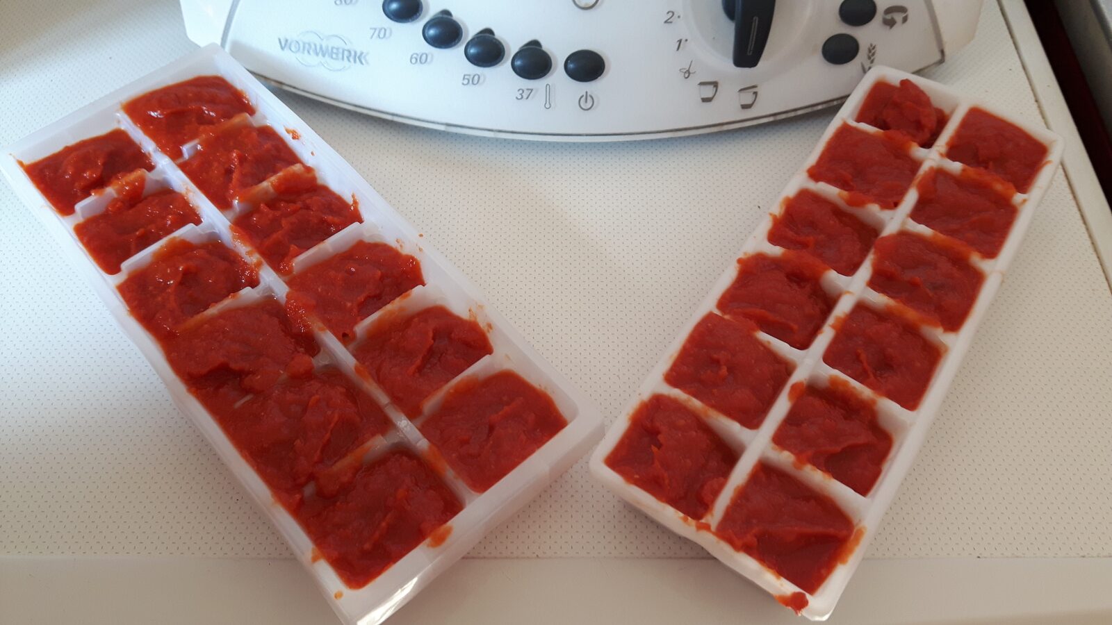 CONCENTRE DE TOMATE NATURE