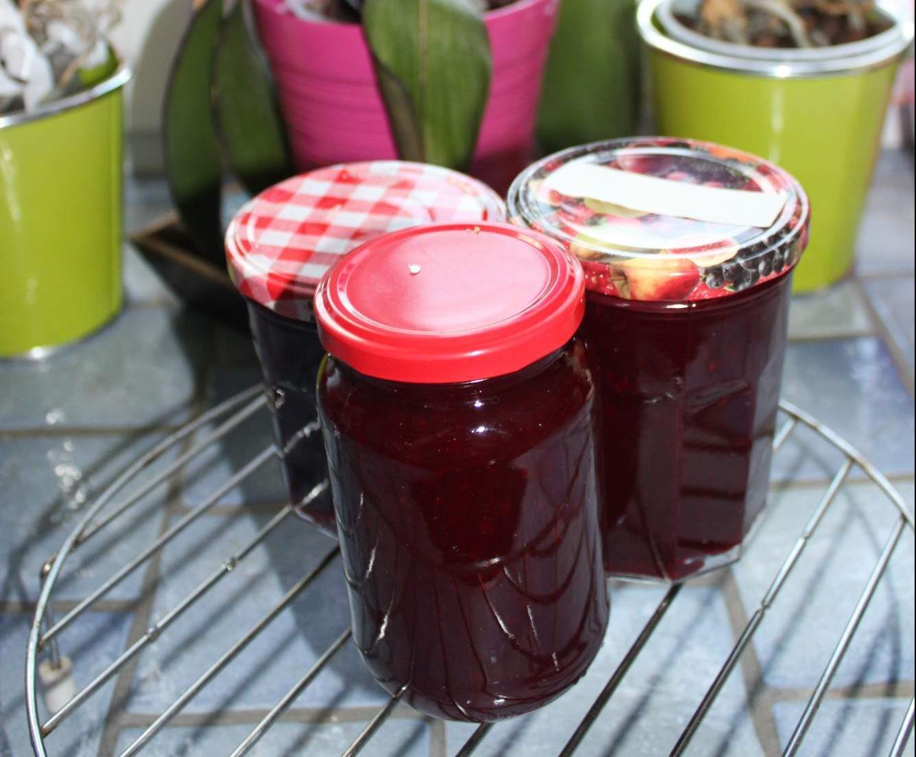 Confiture de mûres du jardin