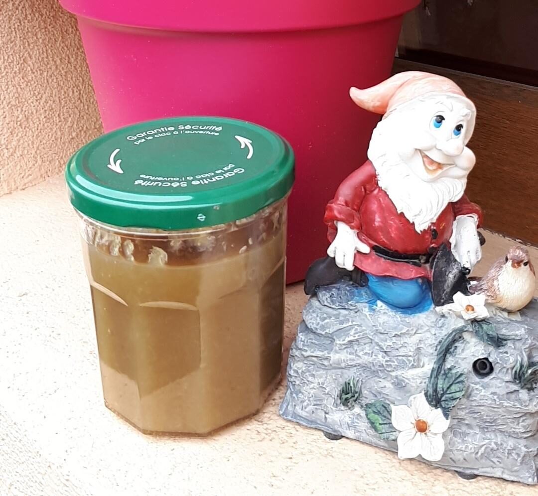 confiture ou gelée de rhubarbe amande