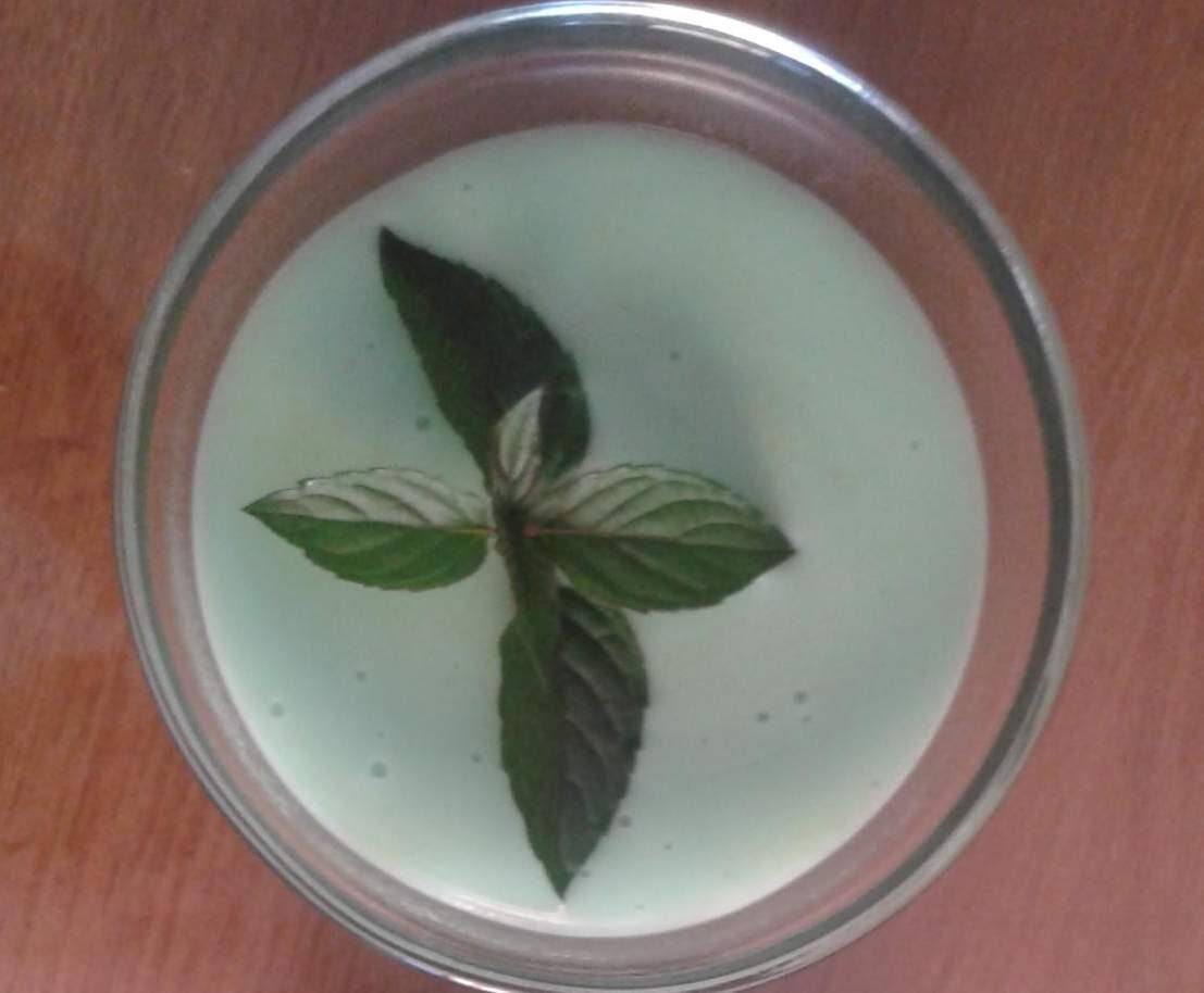 Crème dessert à la menthe fraîche