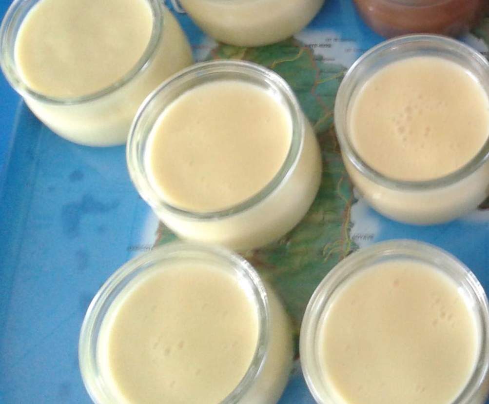 Crème dessert à la noix de coco