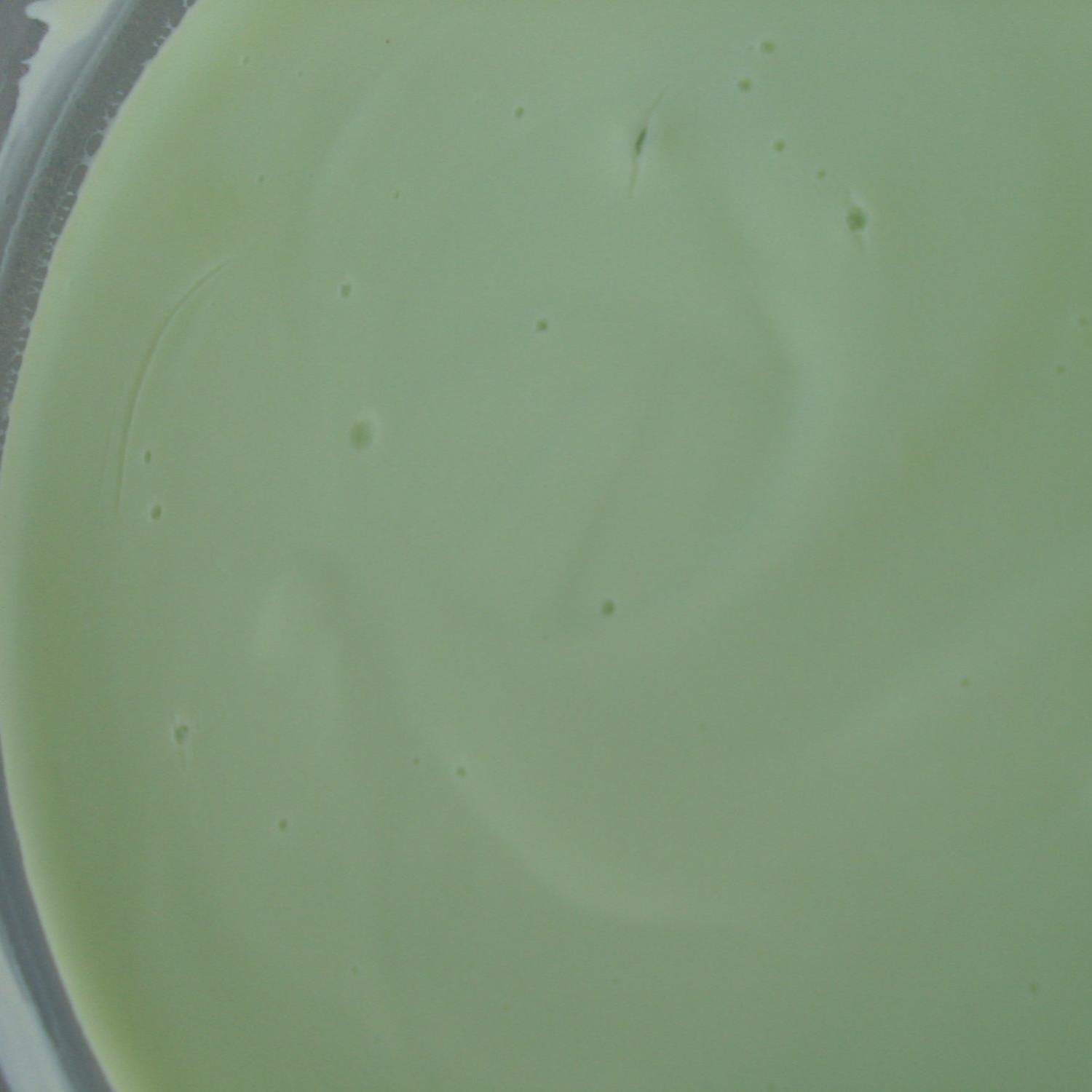 Crème dessert à la pistache