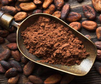 Crème dessert chocolat