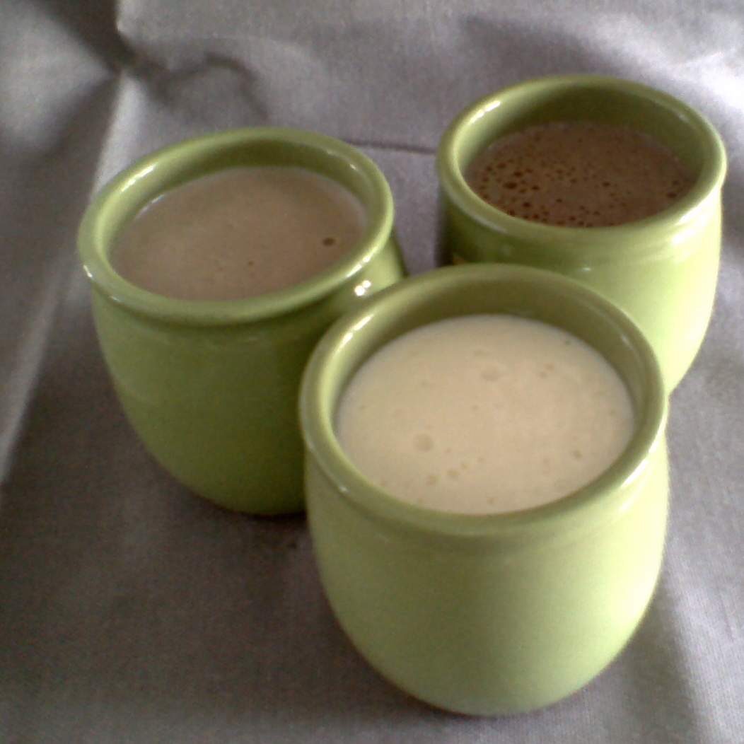 crëme dessert façon danette