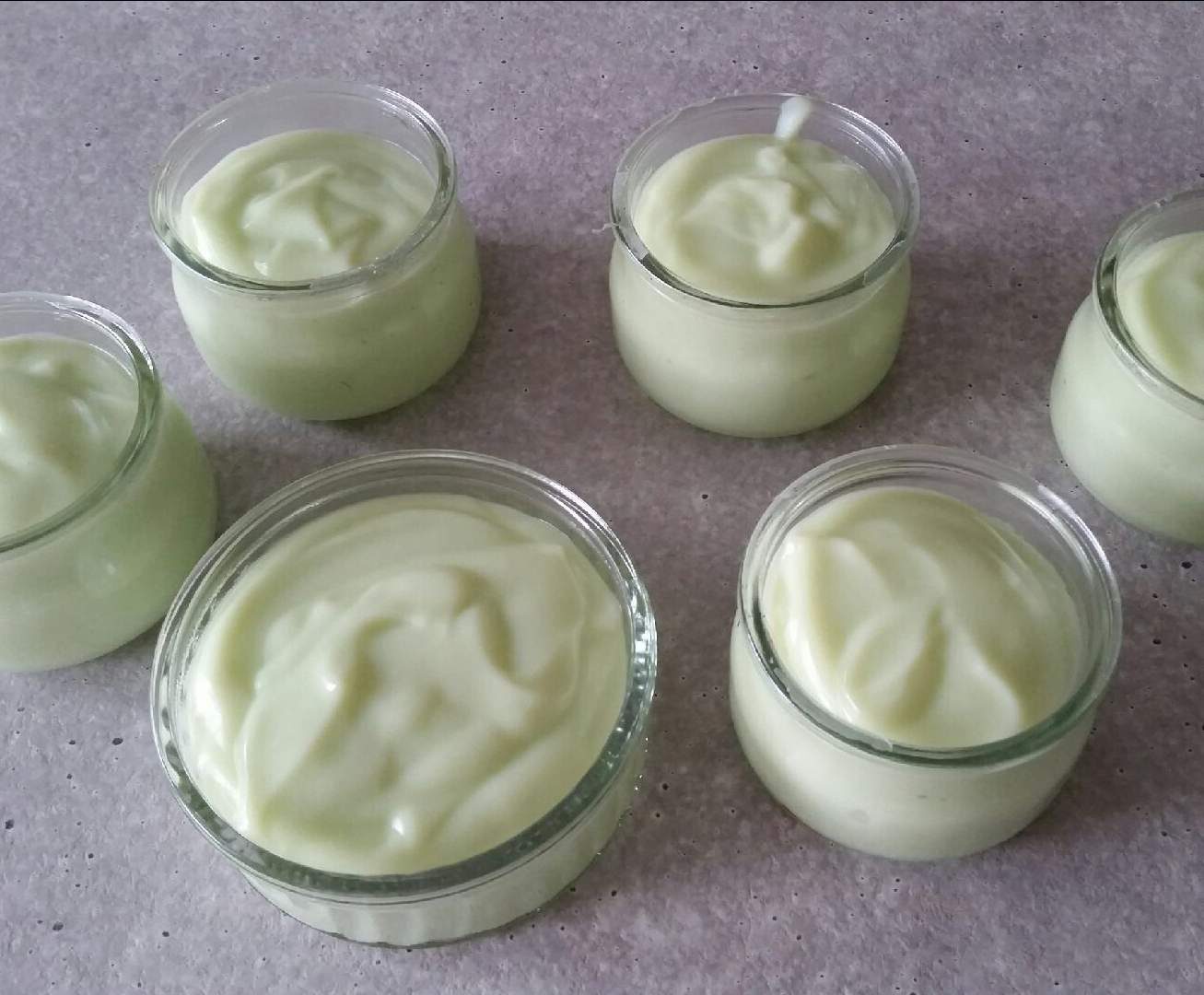 Crème dessert pistache