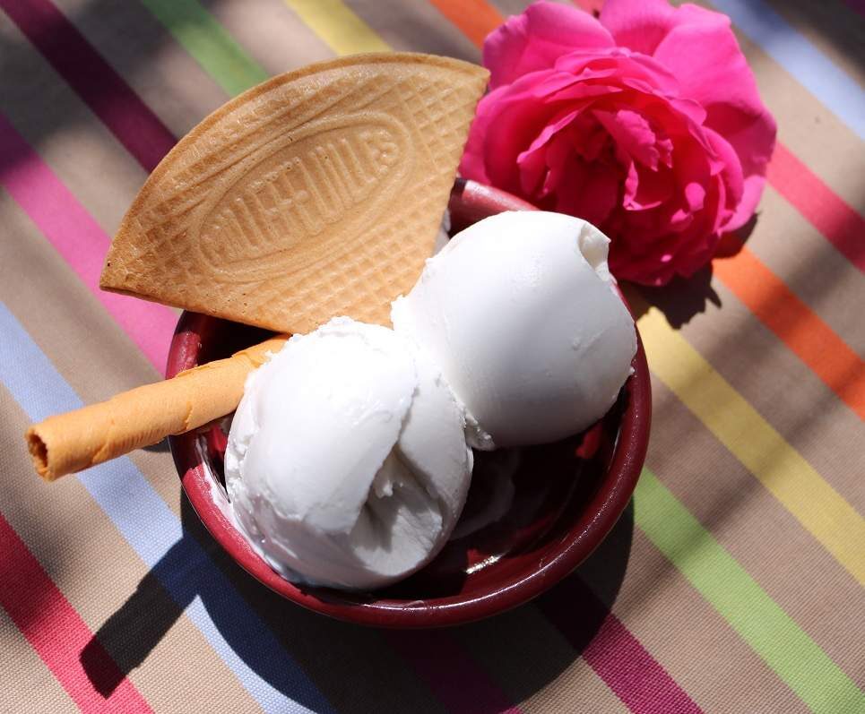 Crème glacée coco simplissime