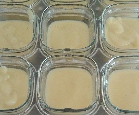 Danette vanille économique