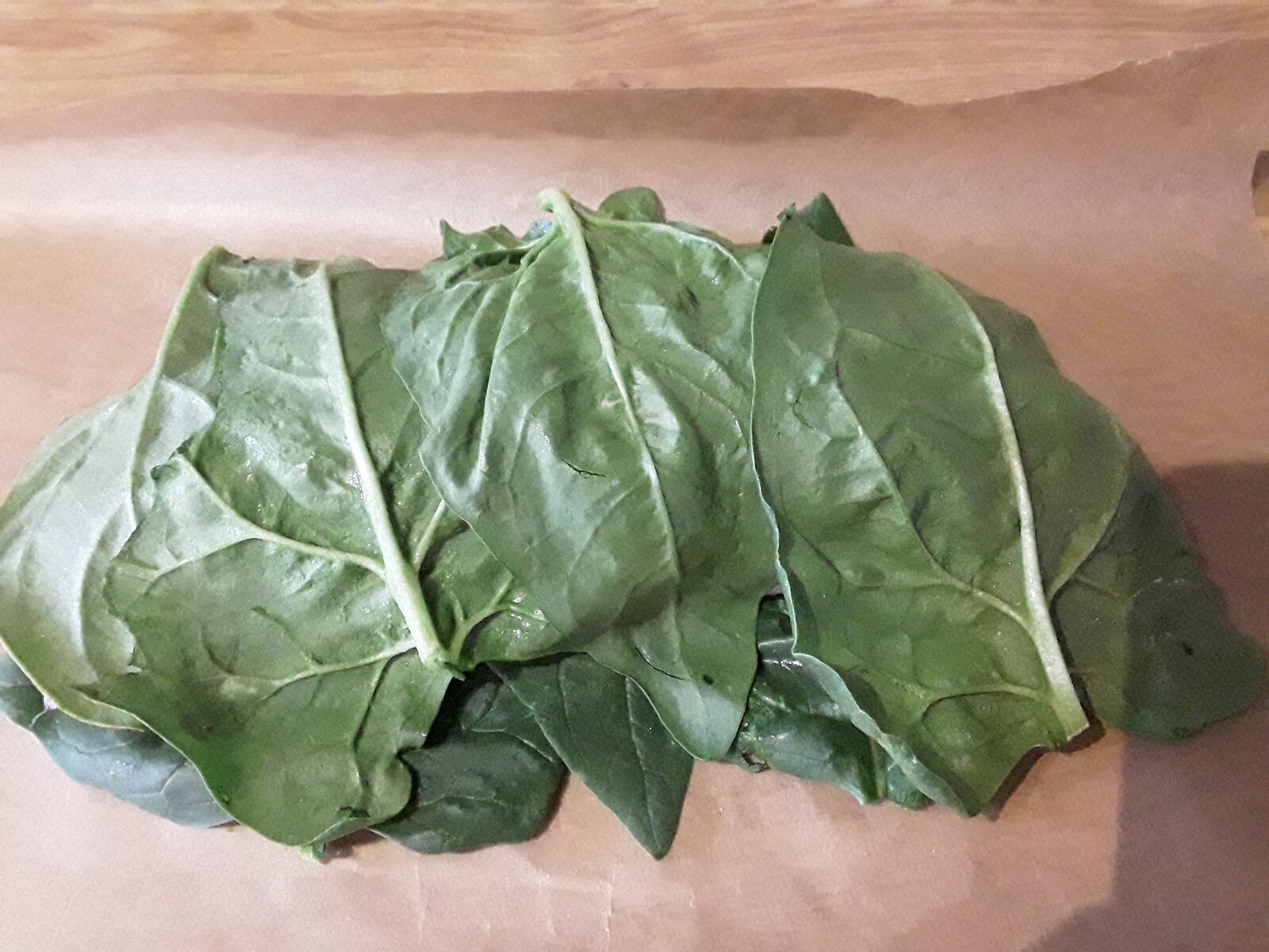 Dos de Lieu Noir en habit vert