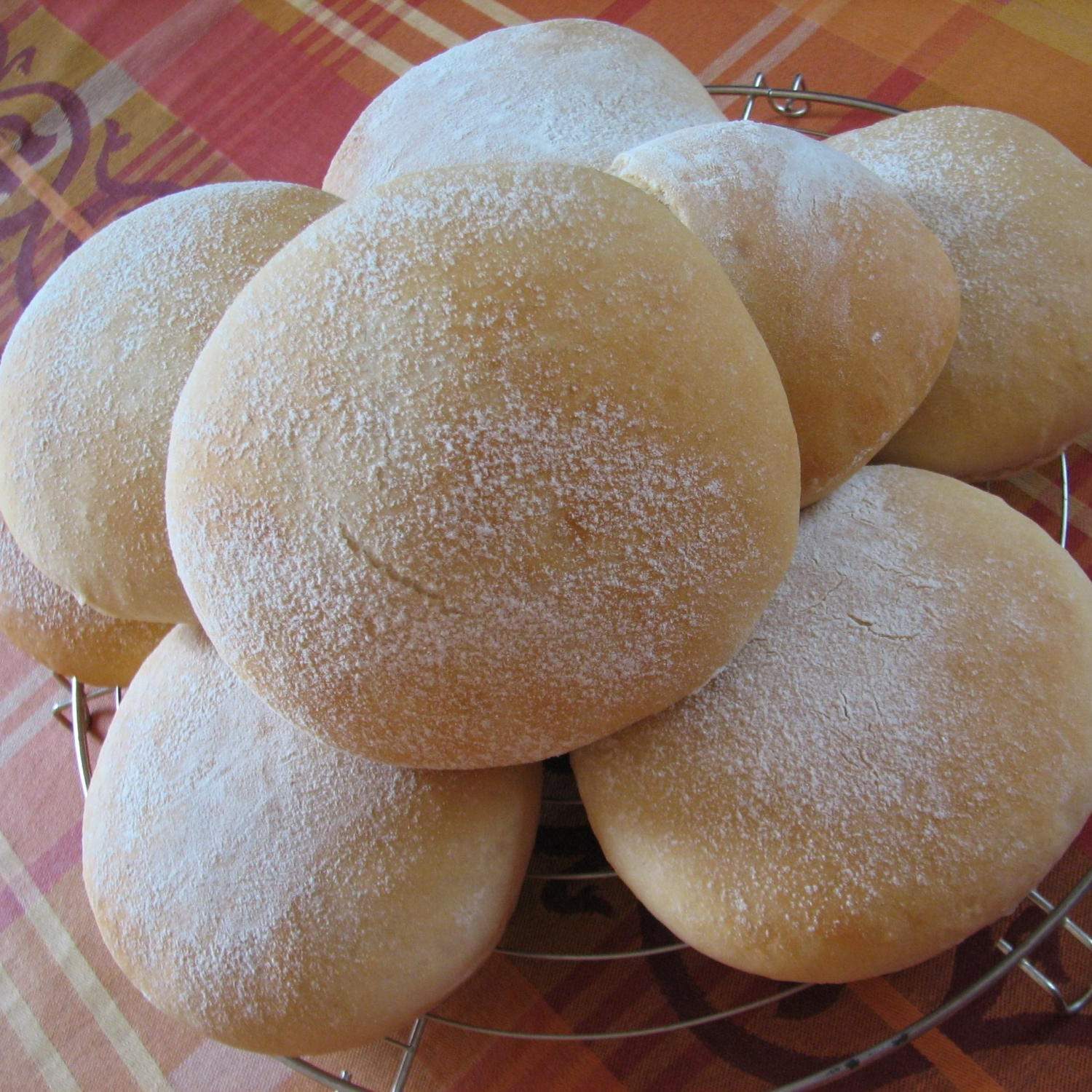 Faluche blanche du nord