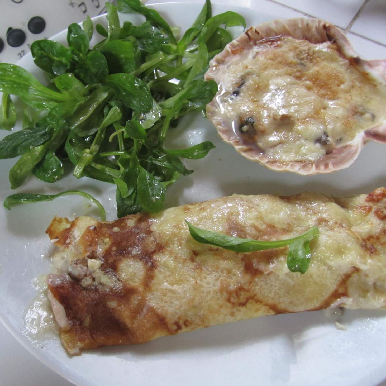 Ficelles picardes ou petites coquilles océanes