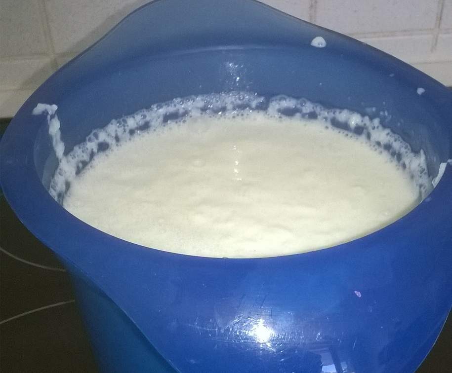 Gaspacho de concombre