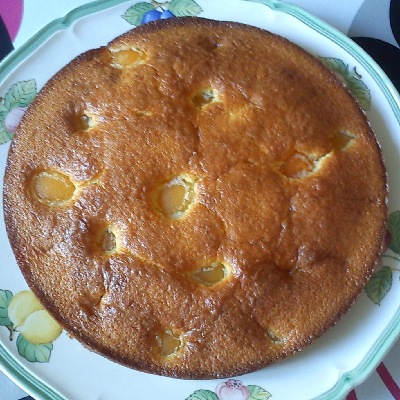 Gâteau aux abricots