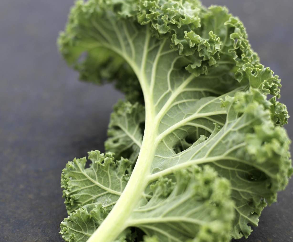 Gratin chou kale pomme de terre