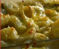 Gratin de Fenouil