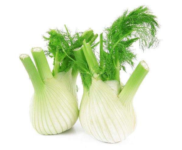 Gratin de Fenouil Curry