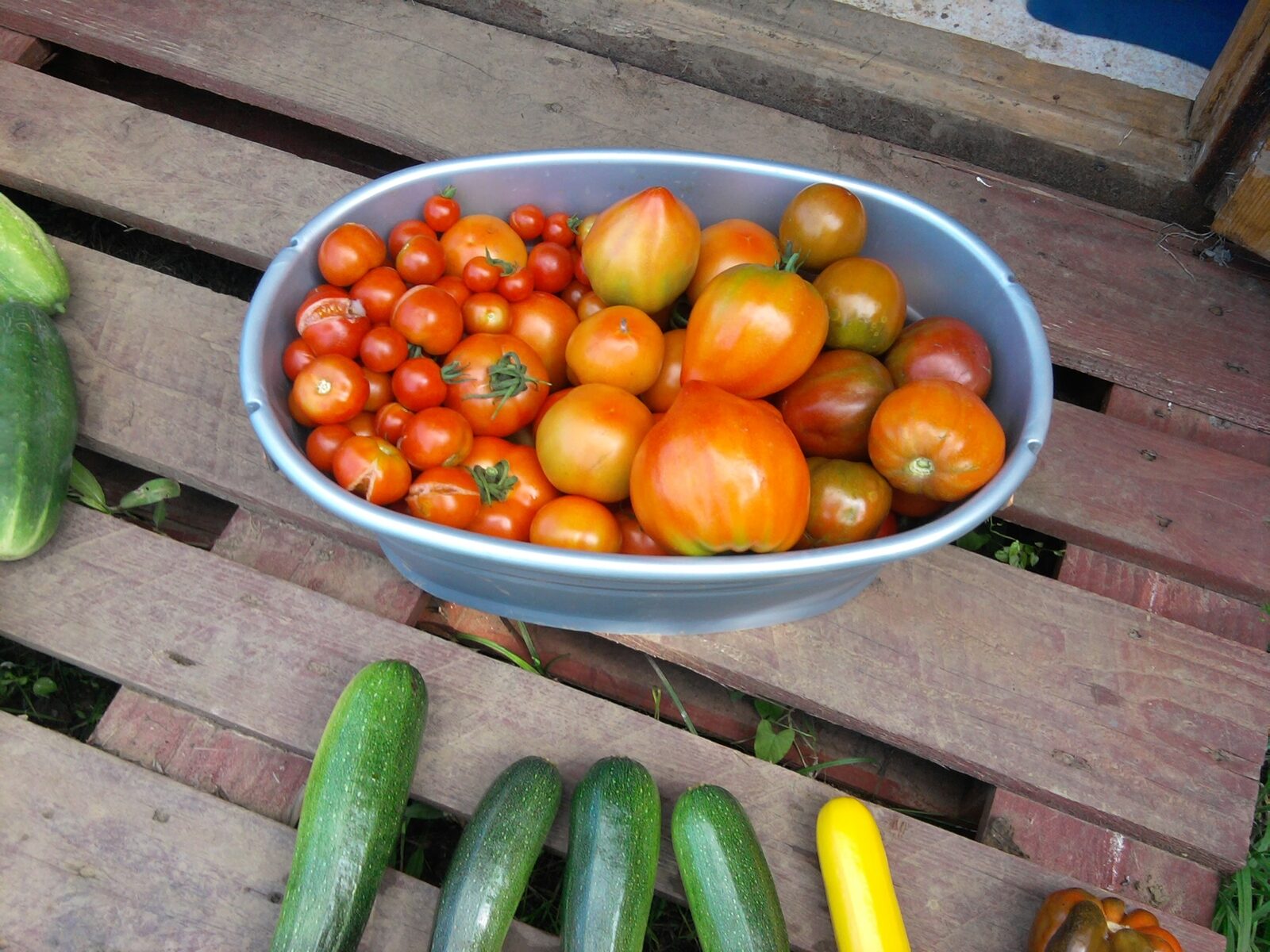 jus de tomates aperitif