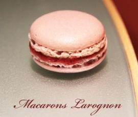 Macarons « Larognon » (myrtilles-citron)