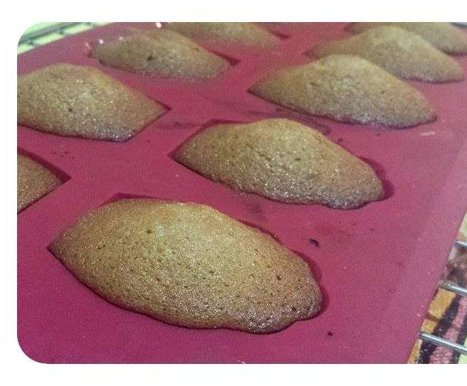 Madeleines ardéchoises