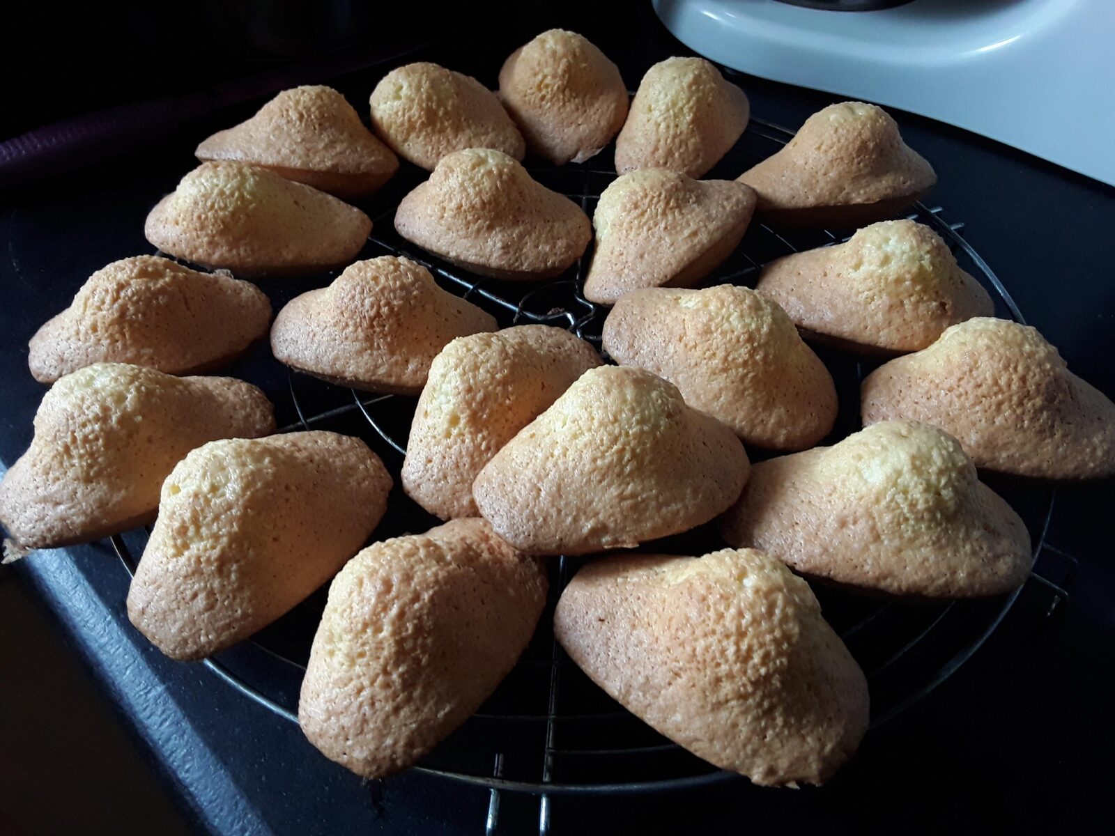 Madeleines noix de coco