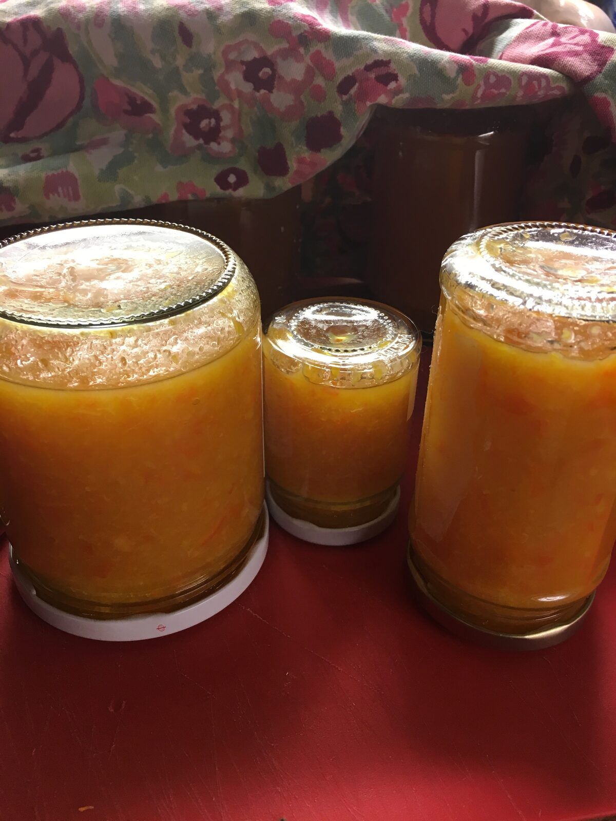 Marmelade de clémentines au TM5