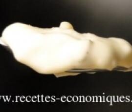 Mayonnaise sans oeuf en VIDEO