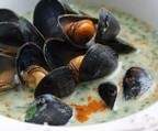 MOULES SAUCE BASILIC MENTHE CITRONELLE