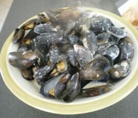 Moules sauce poulette