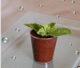 Mousse au chocolat intense ...