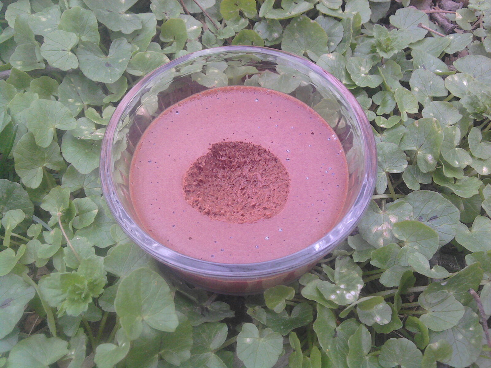 Mousse au chocolat (sans séparer les blancs)