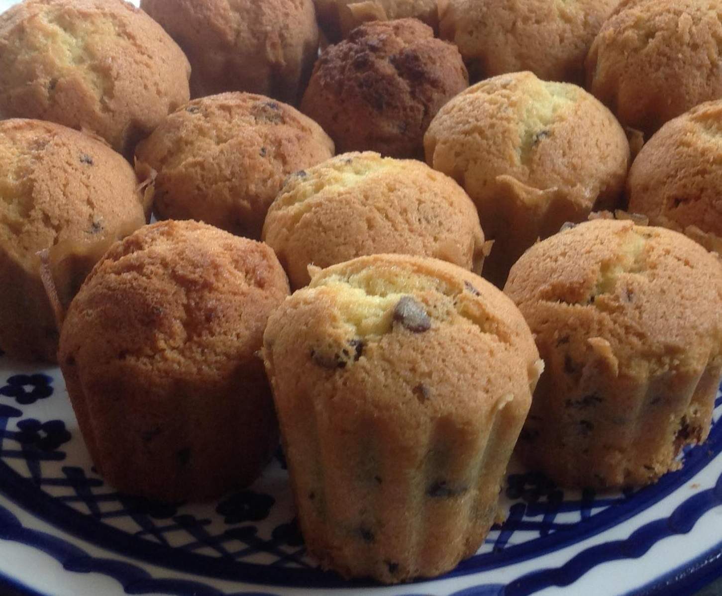 Muffins aux pépites de chocolat