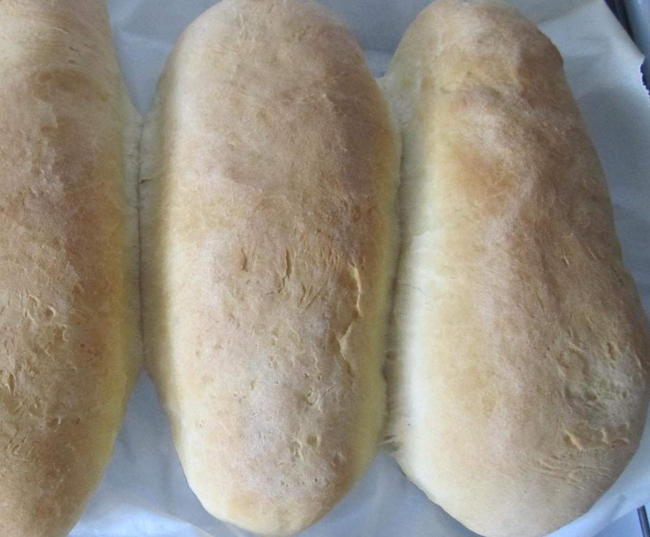 Pain Ciabatta