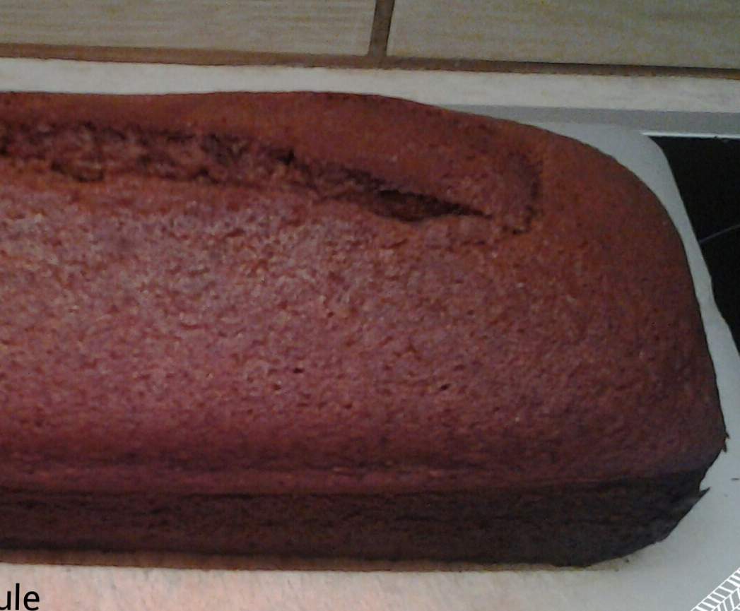 Pain d'épice sans gluten