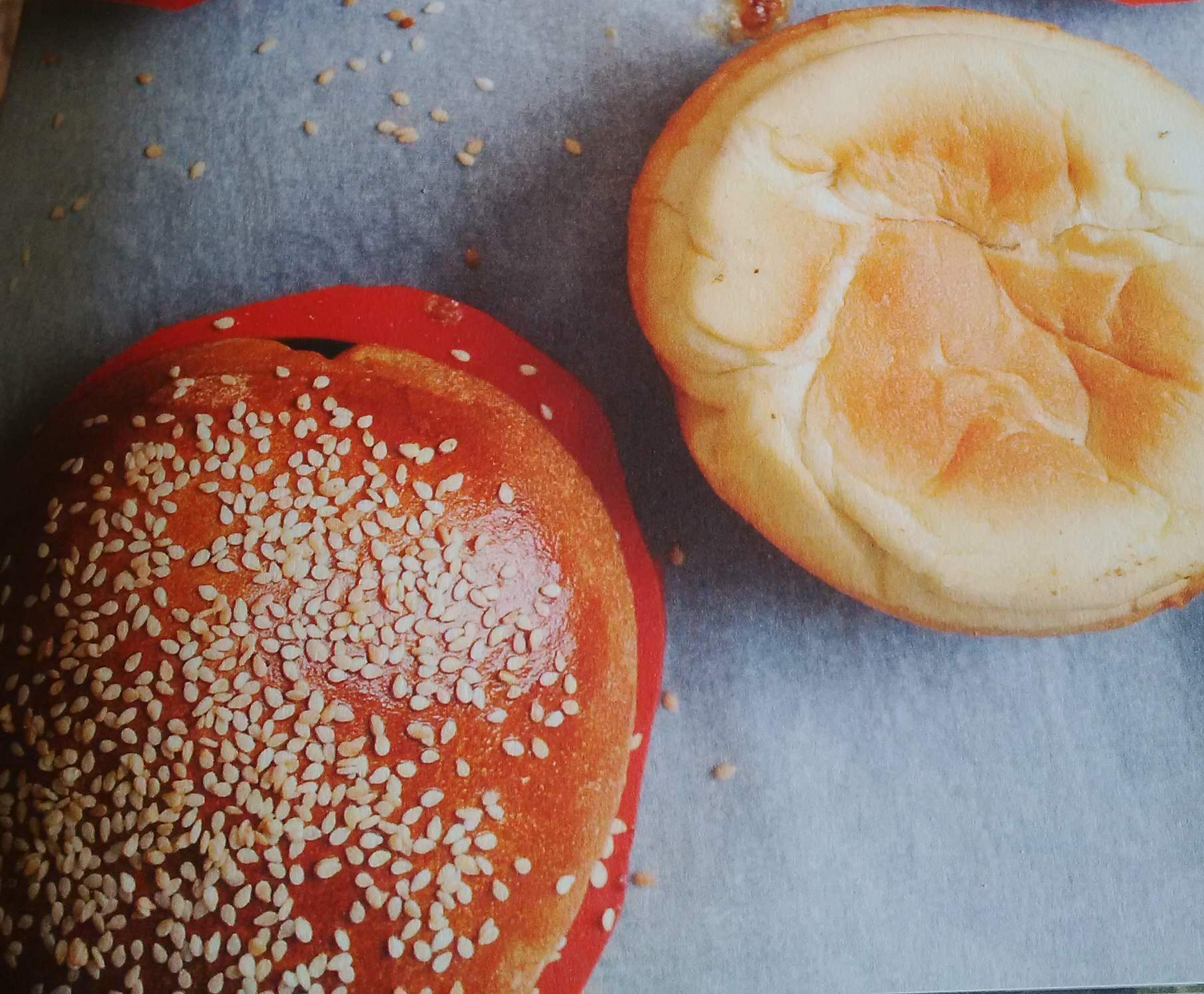 Pains pour Hamburger & Hot-dogs