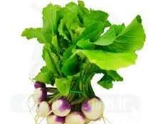 PESTO DE FANES DE NAVETS (recette anti -gaspi !)