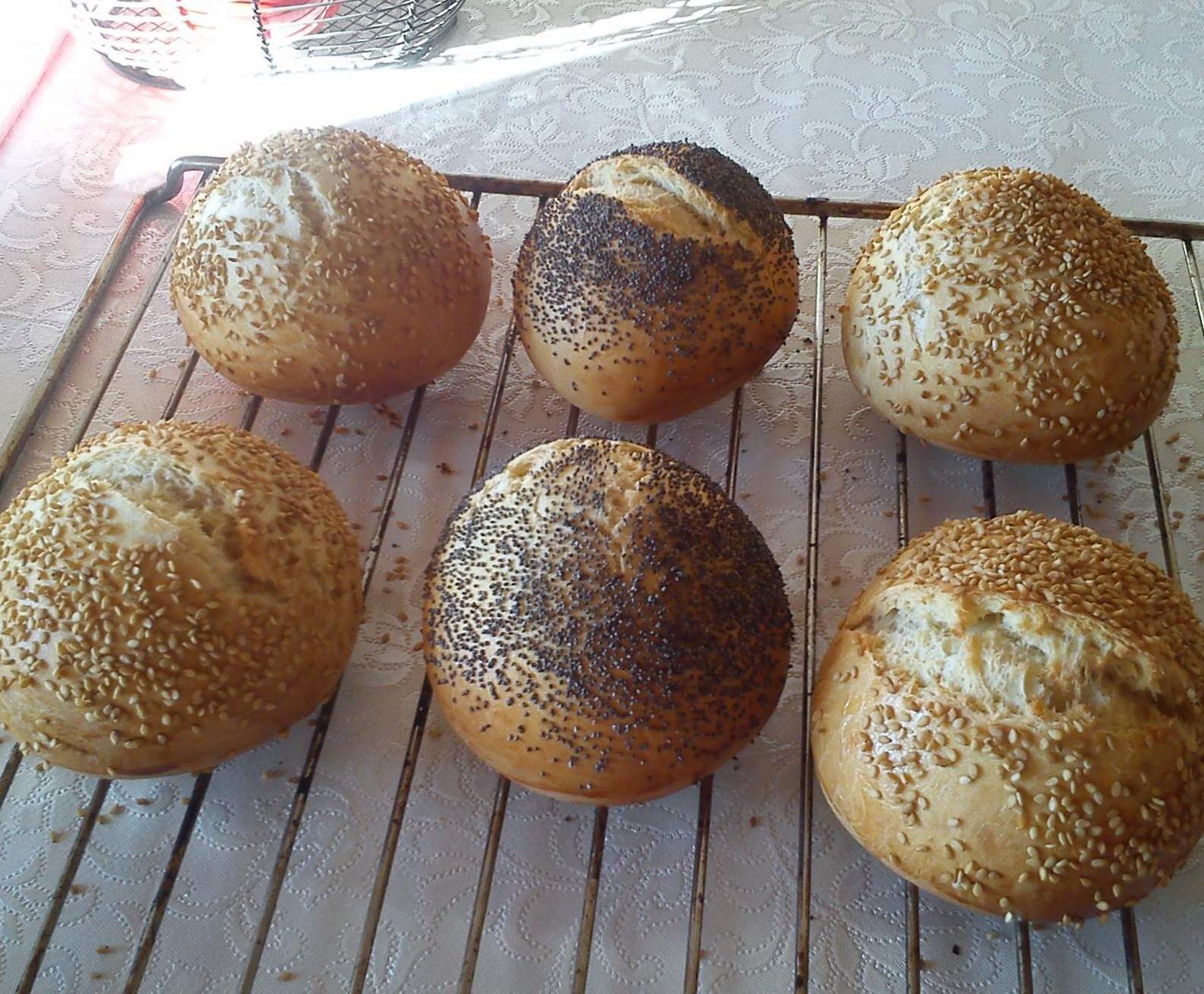 petit pains a hamburger