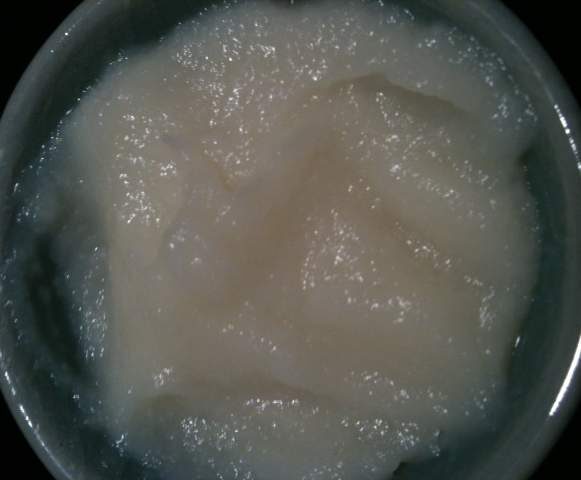 première purée de choux fleur nature