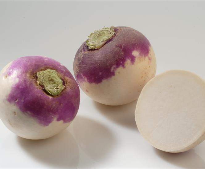 Purée navet pomme de terre pour bébé dès 6 mois