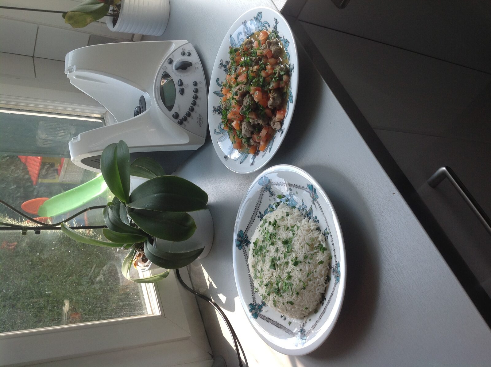 Ragoût express d'agneau épicé