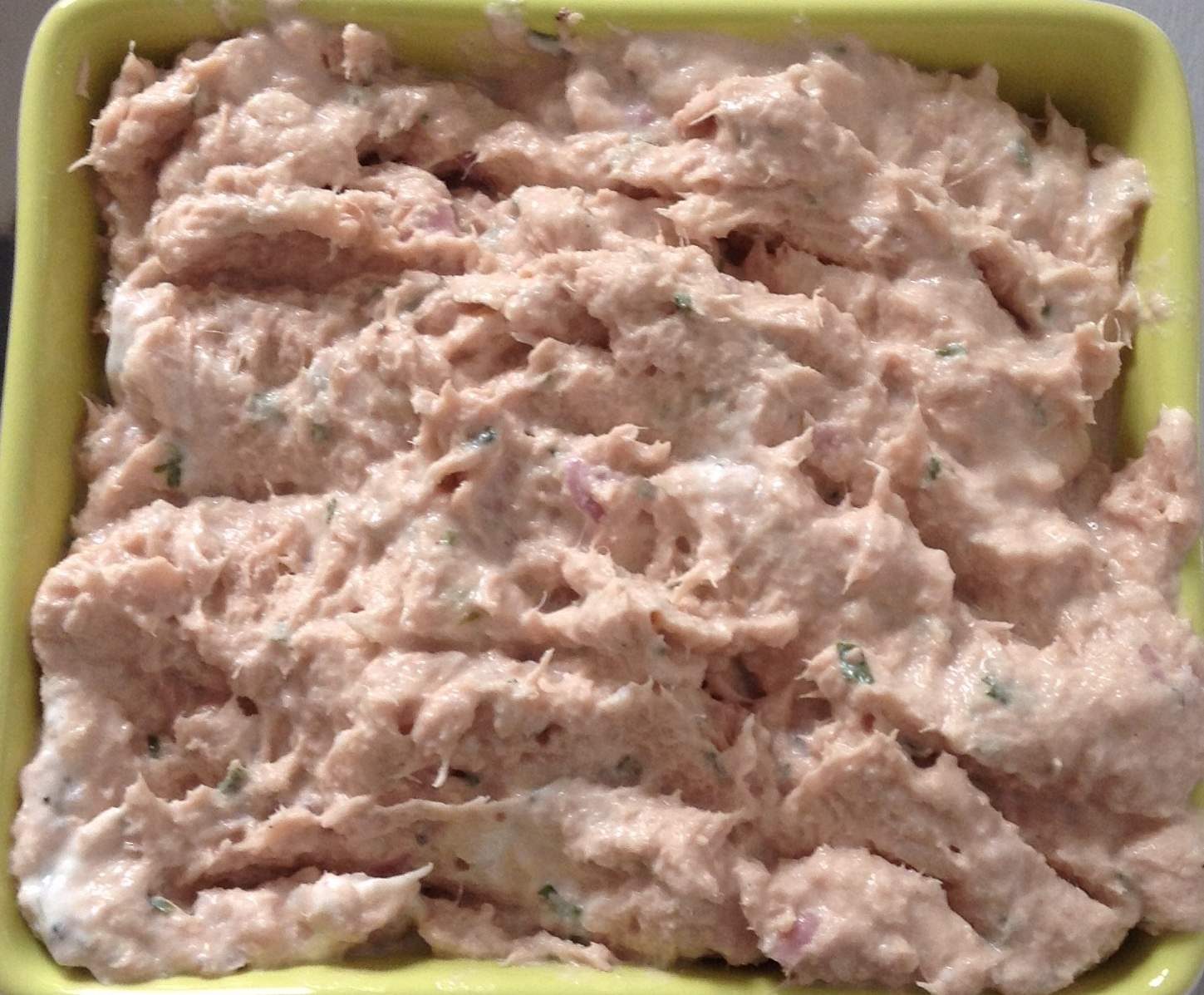 Rillette de thon minute